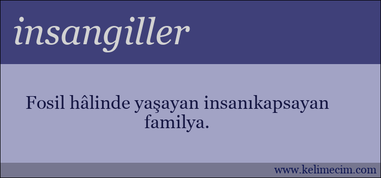 insangiller kelimesinin anlamı ne demek?