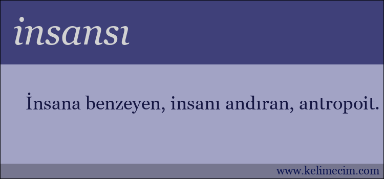 insansı kelimesinin anlamı ne demek?