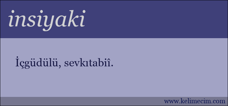 insiyaki kelimesinin anlamı ne demek?