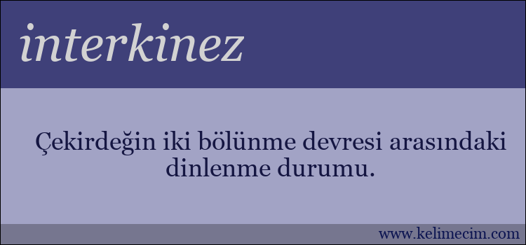 interkinez kelimesinin anlamı ne demek?