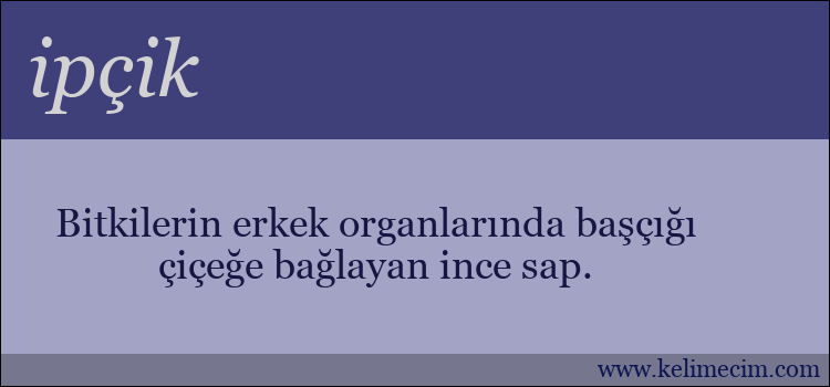 ipçik kelimesinin anlamı ne demek?