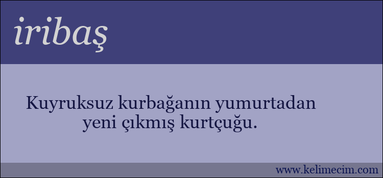 iribaş kelimesinin anlamı ne demek?