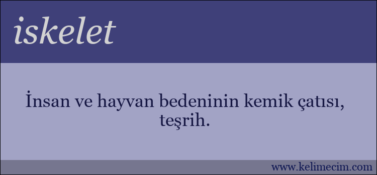 iskelet kelimesinin anlamı ne demek?