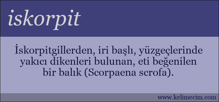 iskorpit kelimesinin anlamı ne demek?