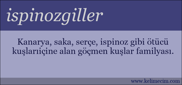 ispinozgiller kelimesinin anlamı ne demek?