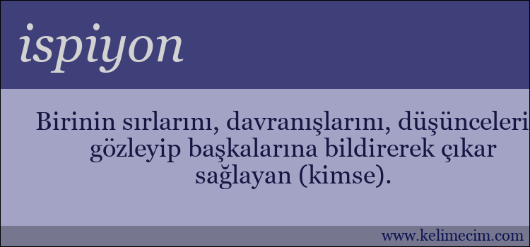 ispiyon kelimesinin anlamı ne demek?