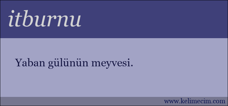 itburnu kelimesinin anlamı ne demek?