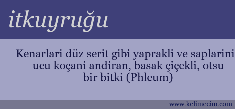 itkuyruğu kelimesinin anlamı ne demek?