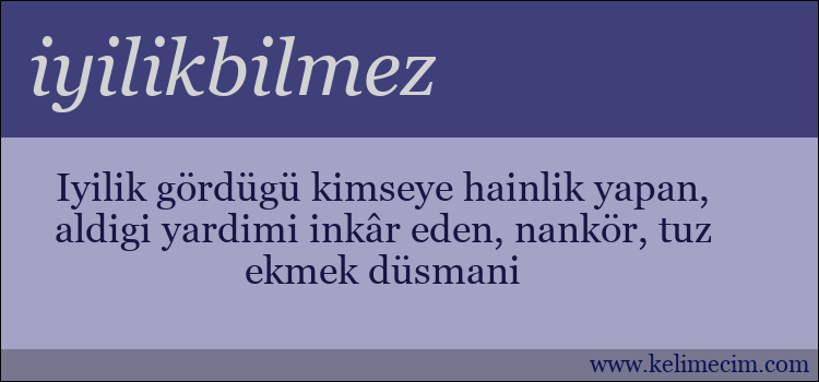 iyilikbilmez kelimesinin anlamı ne demek?