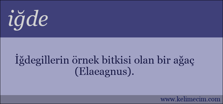 iğde kelimesinin anlamı ne demek?