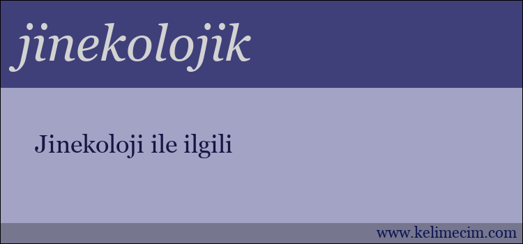 jinekolojik kelimesinin anlamı ne demek?