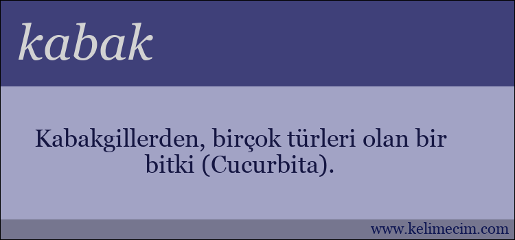 kabak kelimesinin anlamı ne demek?