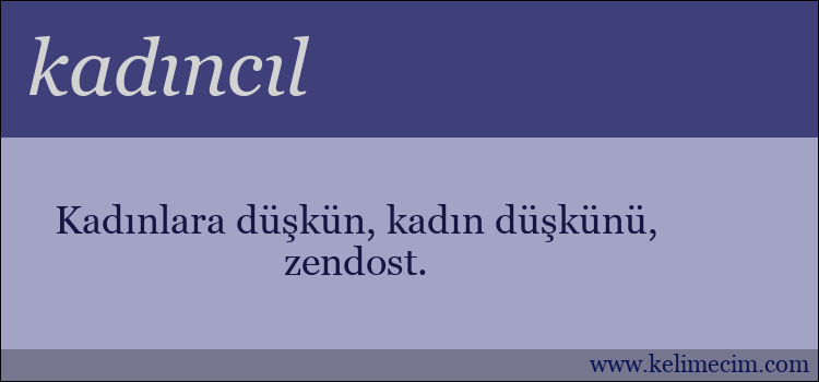 kadıncıl kelimesinin anlamı ne demek?