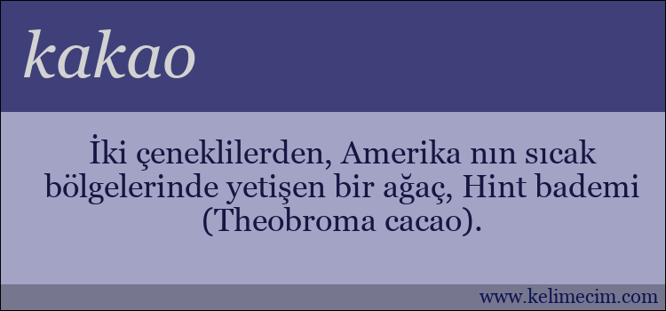 kakao kelimesinin anlamı ne demek?