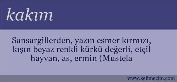 kakım kelimesinin anlamı ne demek?