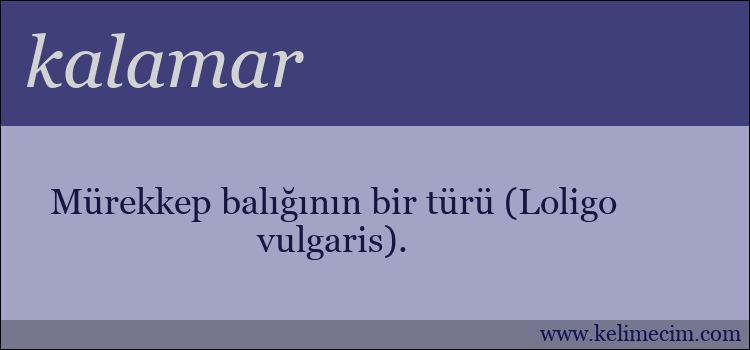 kalamar kelimesinin anlamı ne demek?