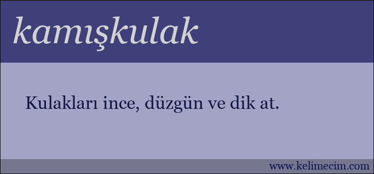 kamışkulak kelimesinin anlamı ne demek?