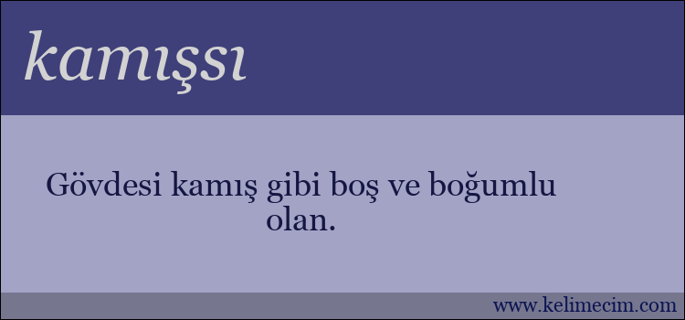 kamışsı kelimesinin anlamı ne demek?