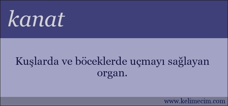 kanat kelimesinin anlamı ne demek?