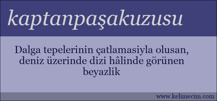 kaptanpaşakuzusu kelimesinin anlamı ne demek?