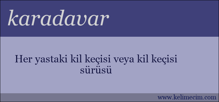 karadavar kelimesinin anlamı ne demek?