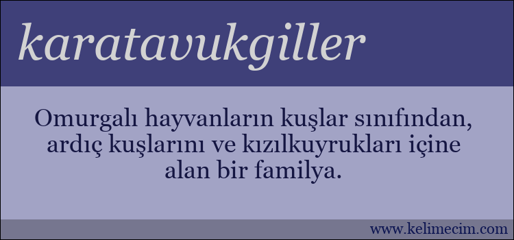 karatavukgiller kelimesinin anlamı ne demek?