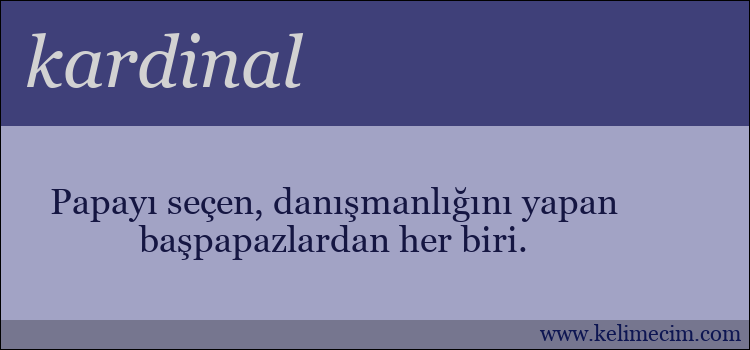 kardinal kelimesinin anlamı ne demek?