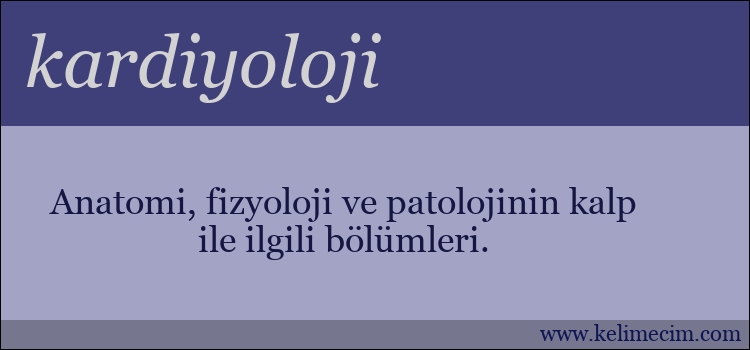 kardiyoloji kelimesinin anlamı ne demek?