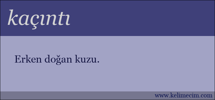 kaçıntı kelimesinin anlamı ne demek?