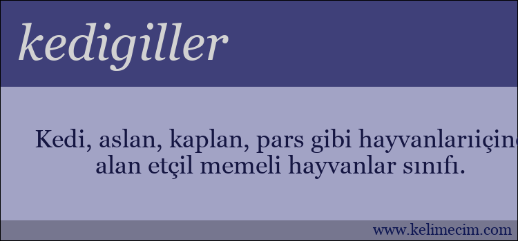 kedigiller kelimesinin anlamı ne demek?