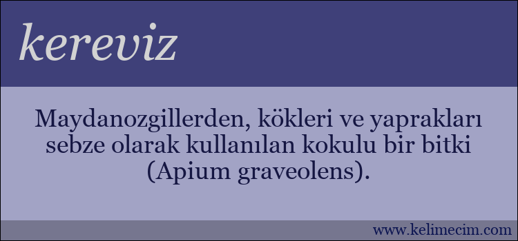 kereviz kelimesinin anlamı ne demek?