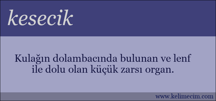 kesecik kelimesinin anlamı ne demek?