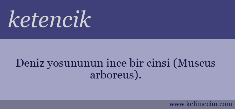 ketencik kelimesinin anlamı ne demek?