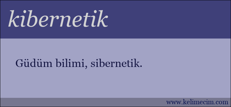 kibernetik kelimesinin anlamı ne demek?