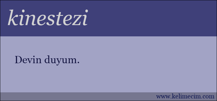 kinestezi kelimesinin anlamı ne demek?