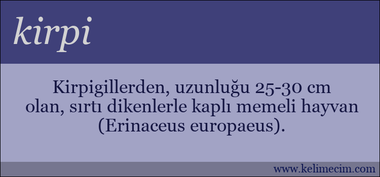 kirpi kelimesinin anlamı ne demek?