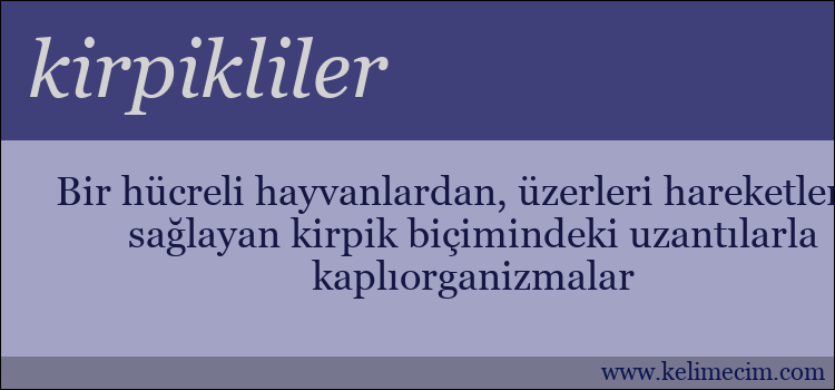 kirpikliler kelimesinin anlamı ne demek?