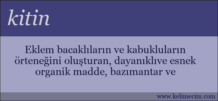 kitin kelimesinin anlamı ne demek?