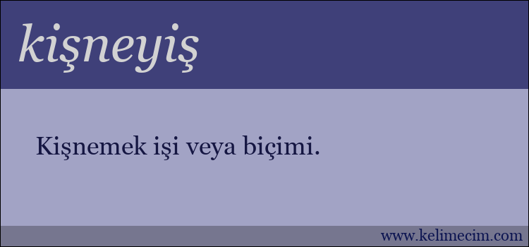 kişneyiş kelimesinin anlamı ne demek?