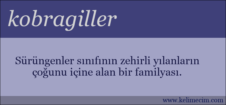 kobragiller kelimesinin anlamı ne demek?