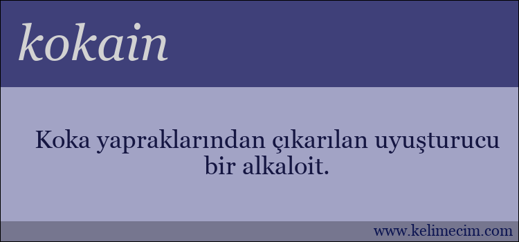 kokain kelimesinin anlamı ne demek?