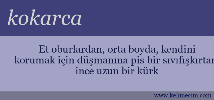 kokarca kelimesinin anlamı ne demek?