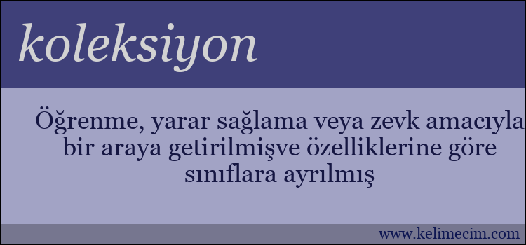 koleksiyon kelimesinin anlamı ne demek?