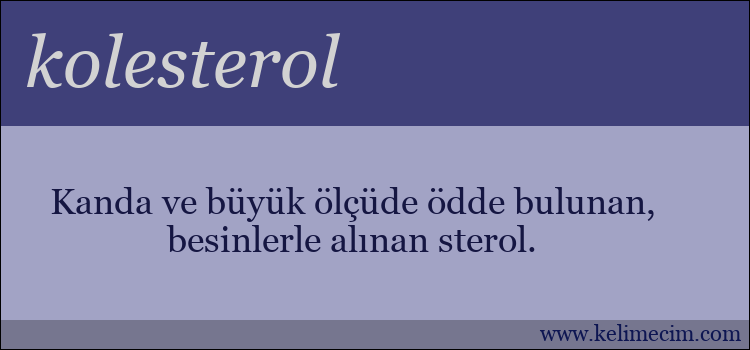 kolesterol kelimesinin anlamı ne demek?