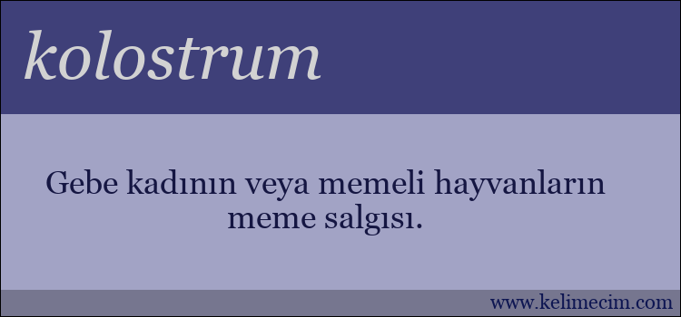 kolostrum kelimesinin anlamı ne demek?