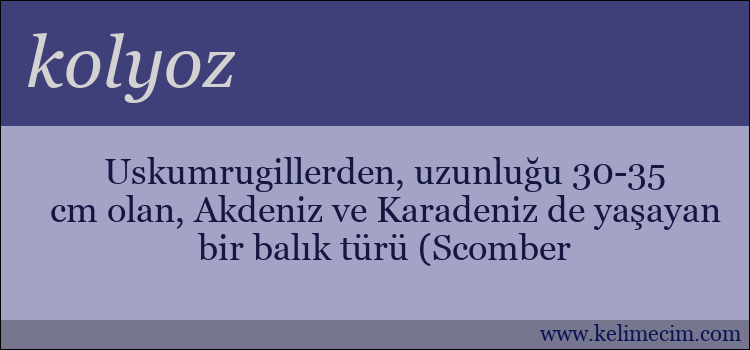 kolyoz kelimesinin anlamı ne demek?