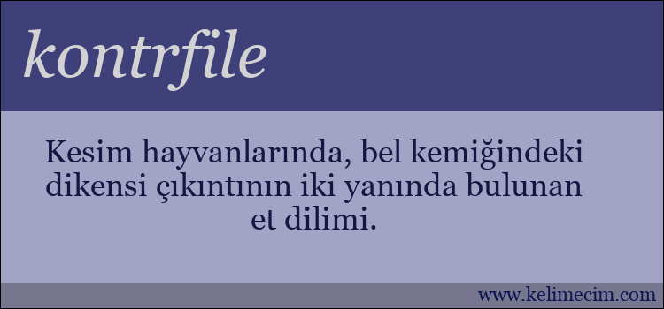 kontrfile kelimesinin anlamı ne demek?