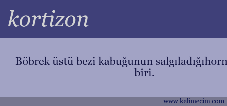 kortizon kelimesinin anlamı ne demek?