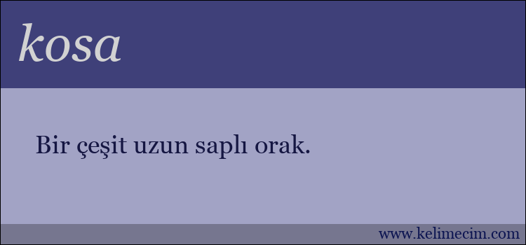 kosa kelimesinin anlamı ne demek?