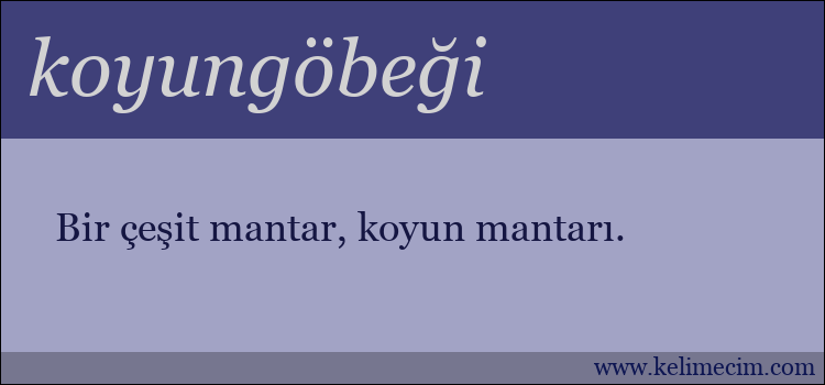 koyungöbeği kelimesinin anlamı ne demek?